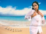 Ankitha