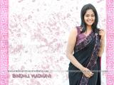 Bindu-Madhavi