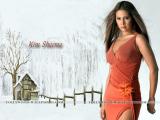 Kim-Sharma