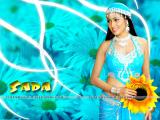 Sada