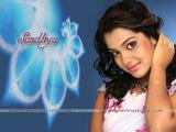 Sandhya