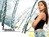 Sheela