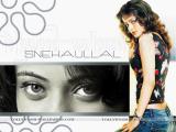 Sneha-Ullal