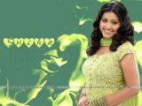 Sneha