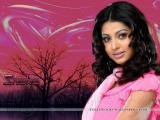 Sneha