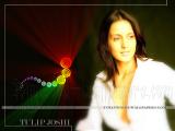 Tulip-Joshi