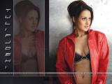 Tulip-Joshi